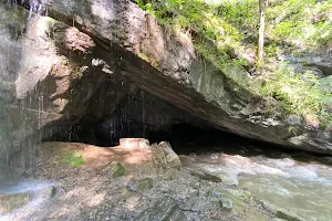 Tytoona Cave Nature Preserve Area image