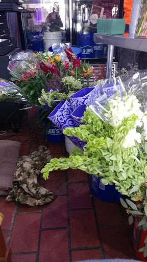 Florist «Europa Designs LLC», reviews and photos, 102 E McKey St, Ocoee, FL 34761, USA