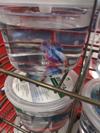 Pet Supply Store «Petco Animal Supplies», reviews and photos, 430 N Euclid St, Anaheim, CA 92801, USA