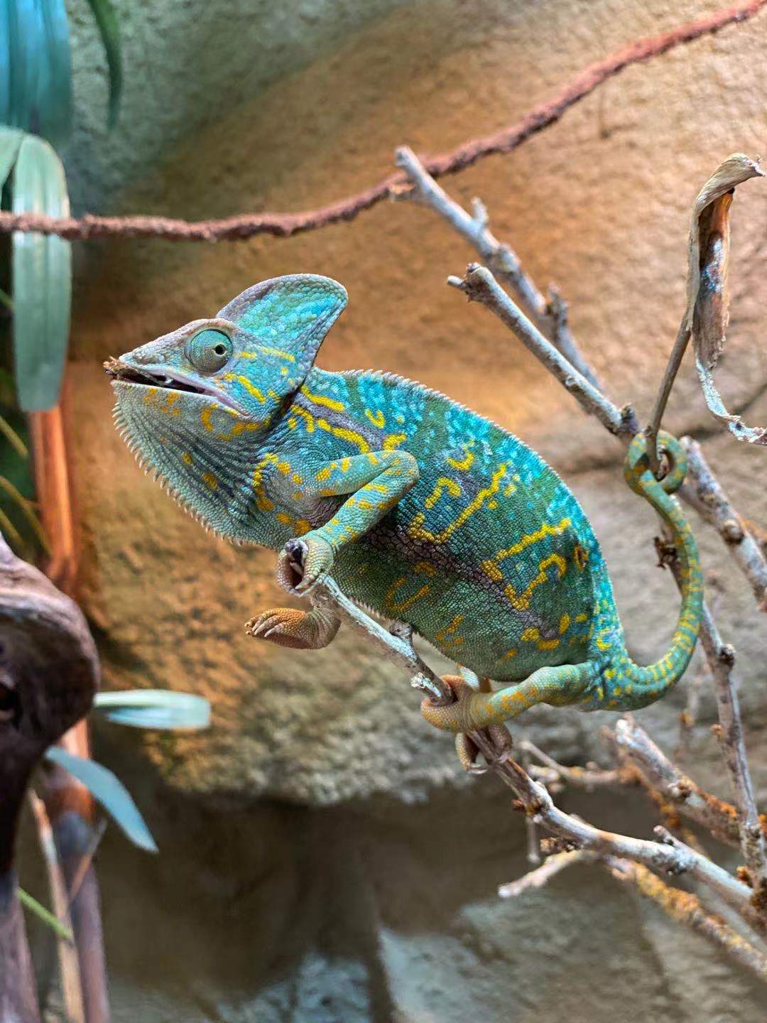 Photo n° 1 de l'avis de Thomas.� fait le 10/08/2021 à 22:47