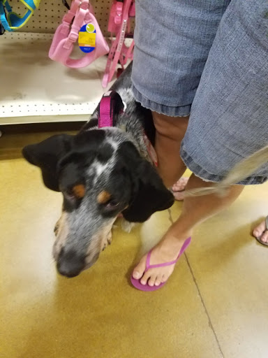 Pet Supply Store «PetSmart», reviews and photos, 6243 College Dr, Suffolk, VA 23435, USA