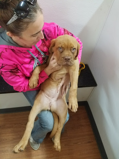 Donut Shop «Krispy Kreme Rome», reviews and photos, 1602 Turner McCall Blvd, Rome, GA 30161, USA