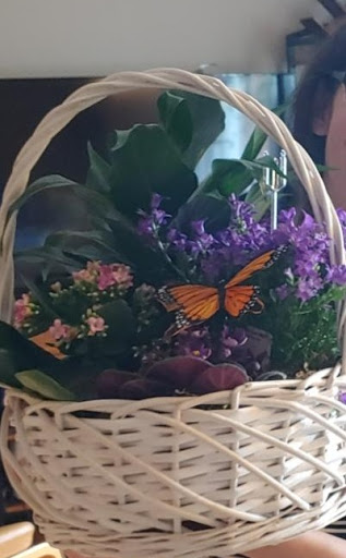 Florist «Blossom Flower Shops», reviews and photos, 275 Mamaroneck Ave, White Plains, NY 10605, USA