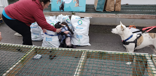 Florist «Nunan Florist & Greenhouses», reviews and photos, 269 Central St, Georgetown, MA 01833, USA