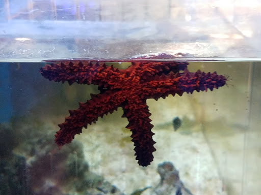 Pet Store «Tanks Pet Supply», reviews and photos, 628 S Main St, Princeton, IL 61356, USA