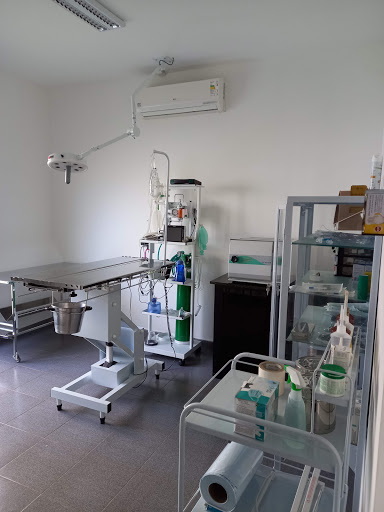 Mi & Au! Clínica Veterinária em Araraquara - SP