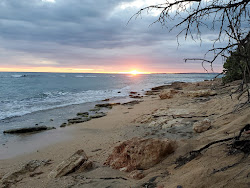 Playa Pelicano'in fotoğrafı düz bir kıyı şeridi ile birlikte