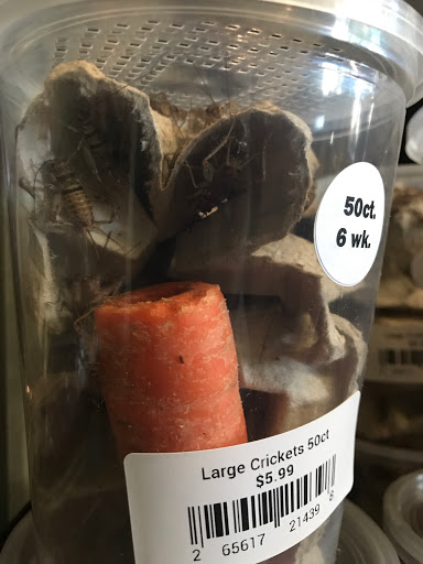 Pet Supply Store «Animal Kingdom of Santa Monica», reviews and photos, 300 Pico Blvd, Santa Monica, CA 90405, USA