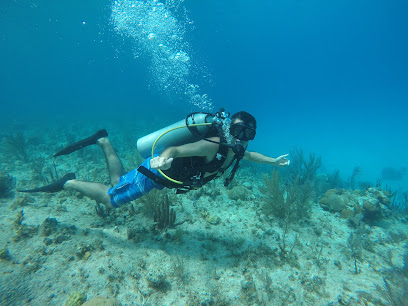 Buceo Paul Diving