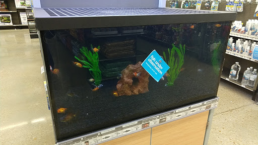 Office Supply Store «Office Depot», reviews and photos, 2360 S Range Ave, Denham Springs, LA 70726, USA