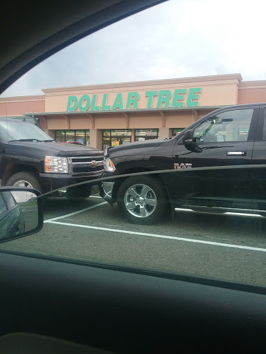 Dollar Store «Dollar Tree», reviews and photos, 911 29th St SE, Watertown, SD 57201, USA