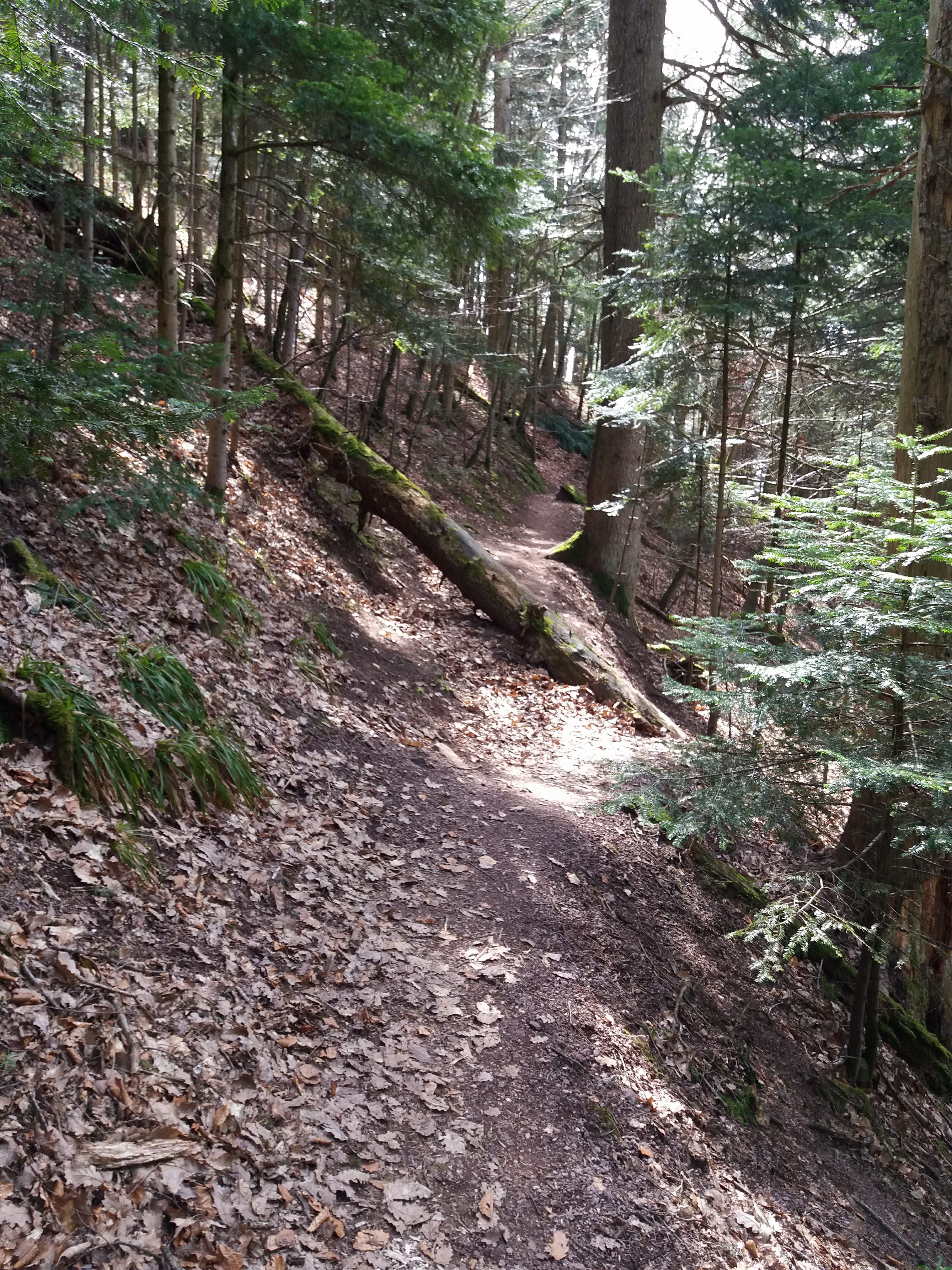 Photo n° 31 de l'avis de yann.a fait le 12/04/2018 à 05:08