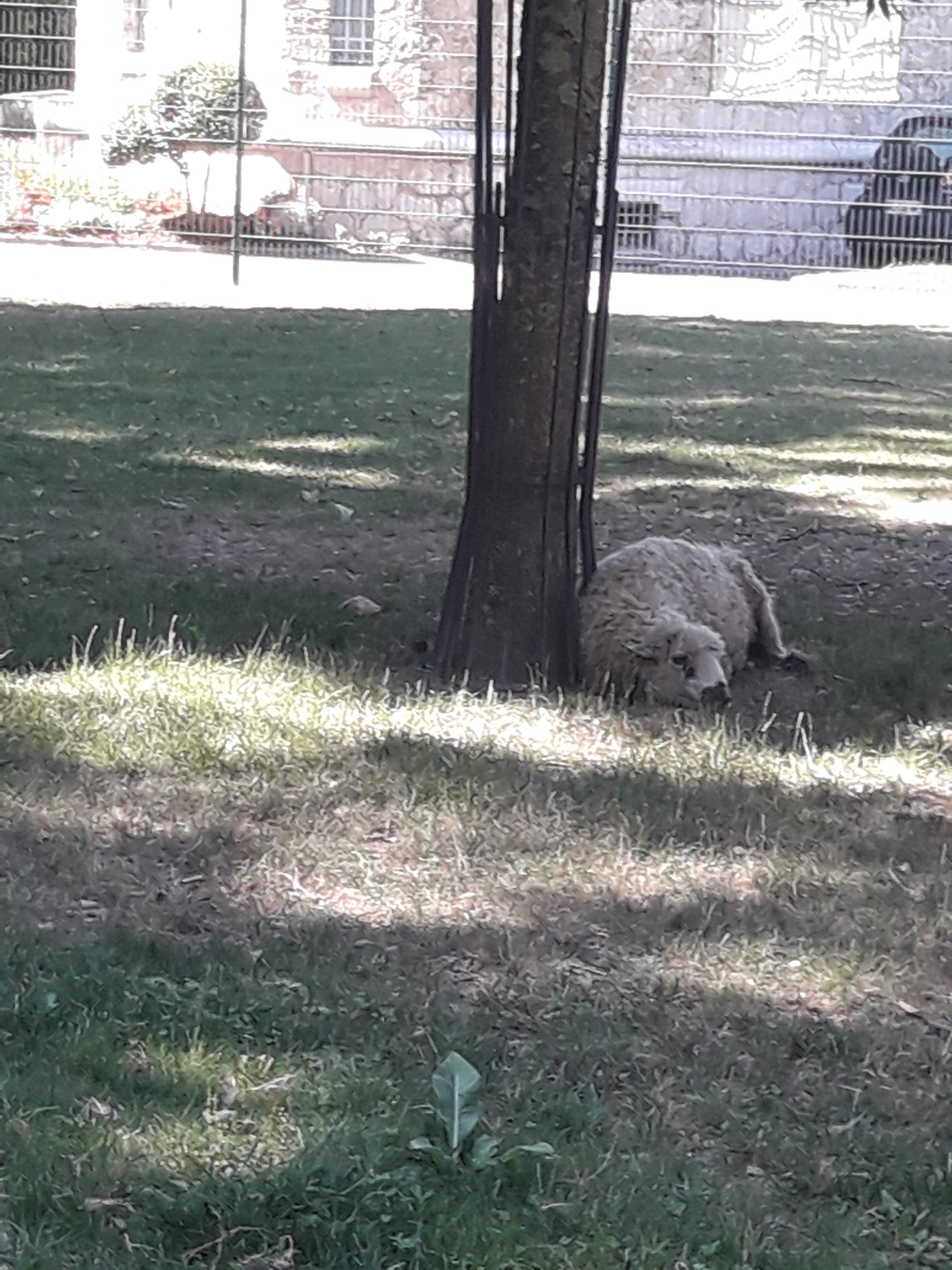 Photo n° 7 de l'avis de Lionel.a fait le 29/06/2019 à 10:44
