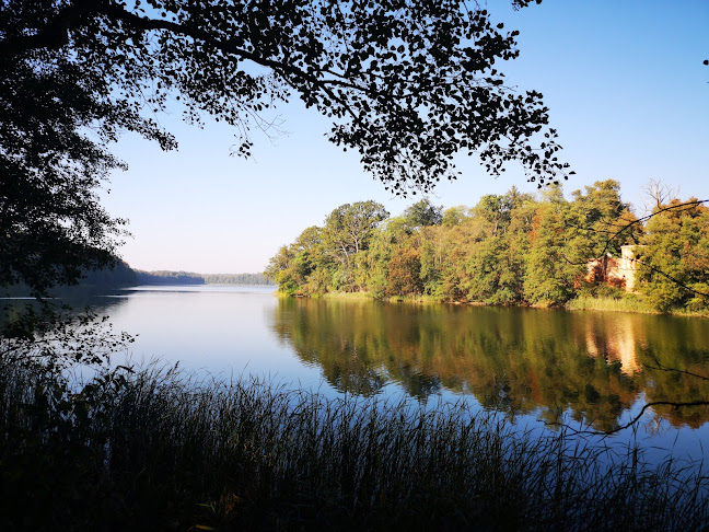 Ruiny zamku Klaudyny Potockiej - Buk