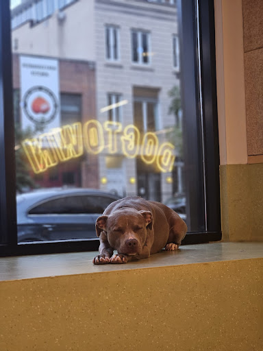 Photo of DOGTOWN