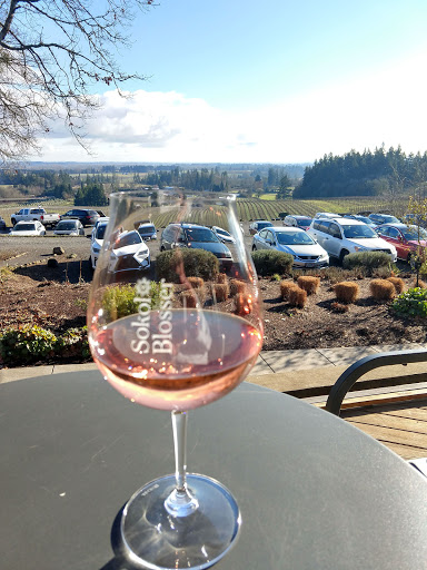 Winery «Sokol Blosser Winery», reviews and photos, 5000 NE Sokol Blosser Ln, Dayton, OR 97114, USA