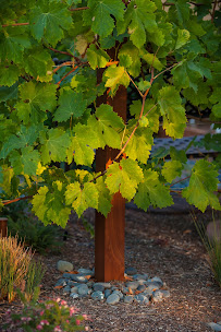 Blue Hibiscus Gardens - Photo 9 - Car repair in , Sunnyvale