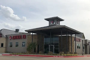 Burleson Animal Emergency Hospital image