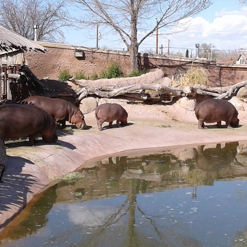 ABQ BioPark Zoo