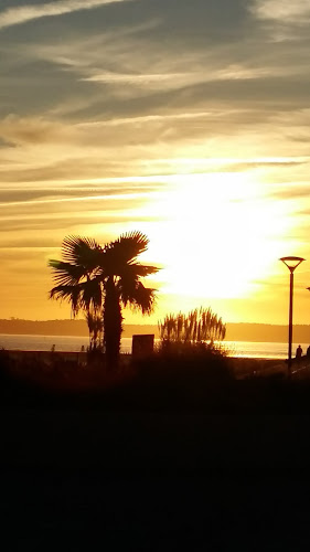 Agence du Médoc Immobilier à Hourtin