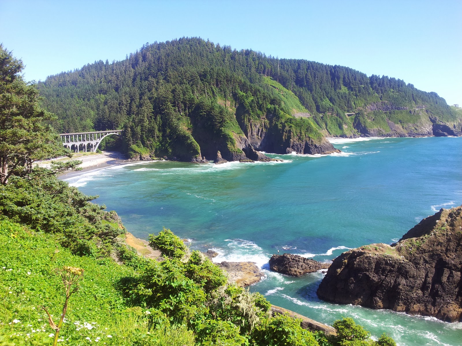 Foto von Heceta Head Beach mit beiger sand & kies Oberfläche