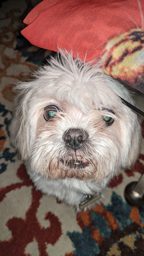 Pet Supply Store «Petco Animal Supplies», reviews and photos, 280 Kensington Blvd, Slidell, LA 70458, USA