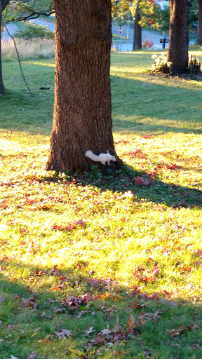 Park «Deming Heights Park», reviews and photos, 1115 St Anthony Pkwy, Minneapolis, MN 55418, USA