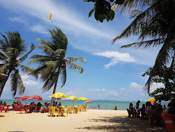 Praia de Pedras Altas'in fotoğrafı ve yerleşim