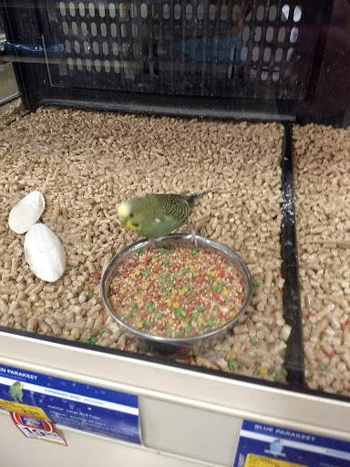 Pet Supply Store «PetSmart», reviews and photos, 8500 N Evanston Ave, Kansas City, MO 64157, USA