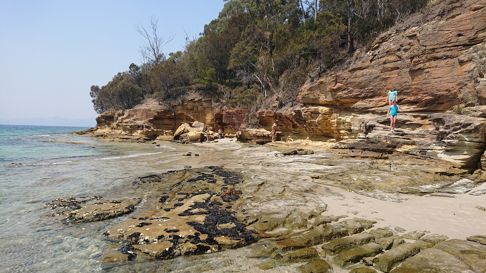 Coningham Beach'in fotoğrafı vahşi alan