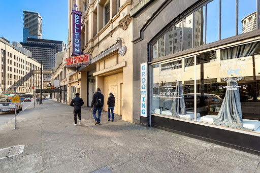 1915 3rd Ave, Seattle, WA 98101, USA