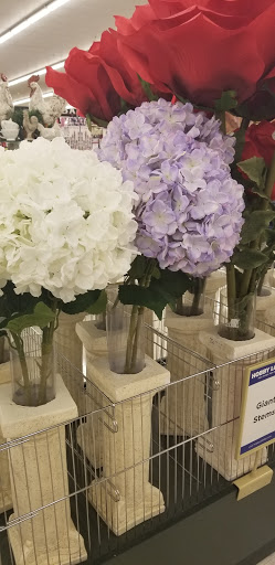 Craft Store «Hobby Lobby», reviews and photos, 7150 Hamilton Blvd #270, Trexlertown, PA 18087, USA