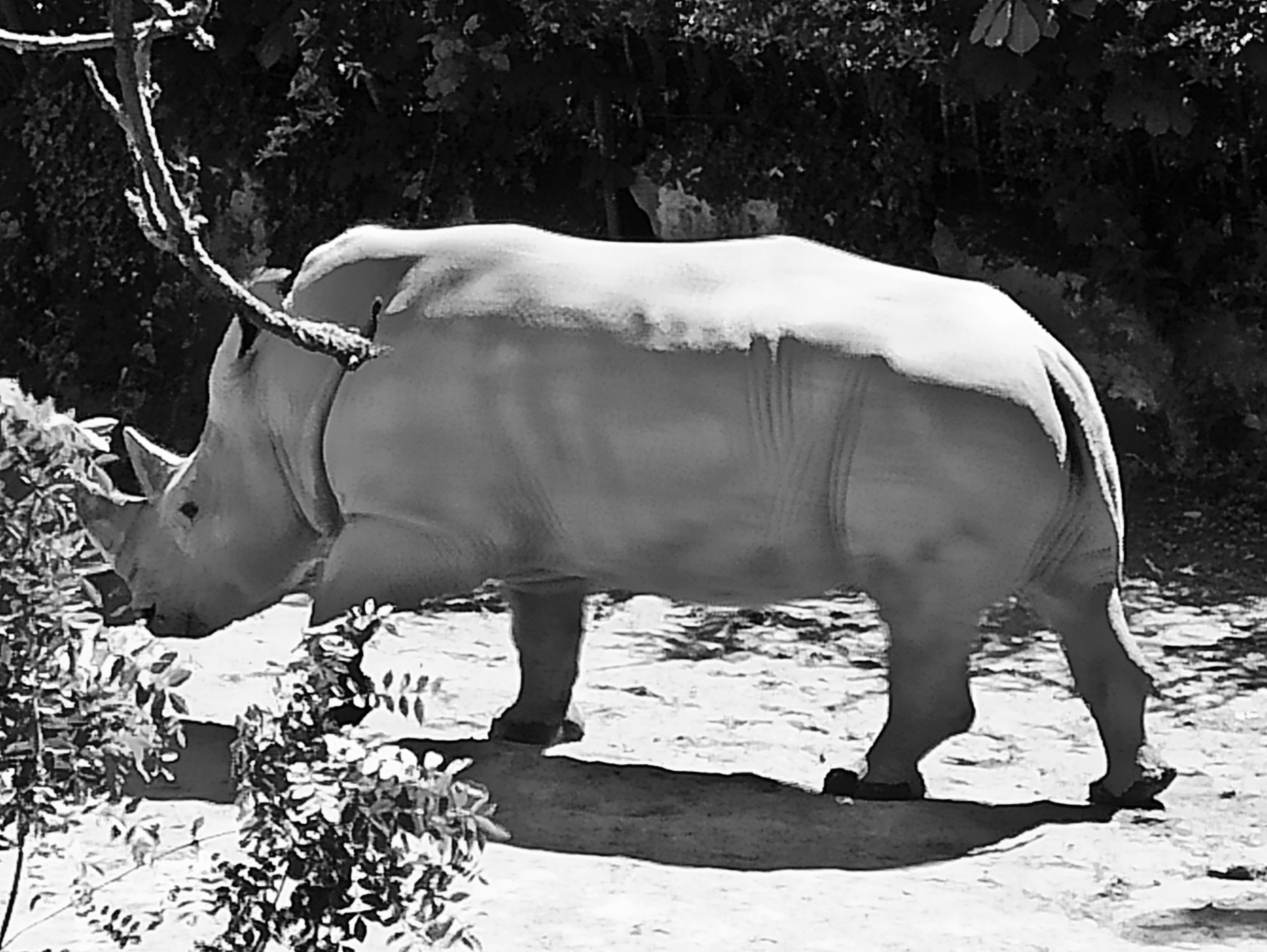 Photo n° 5 de l'avis de Johannes.o fait le 21/02/2019 à 14:04