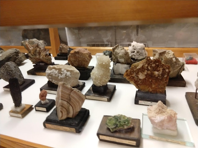Musée des minéraux et des fossiles - Museum