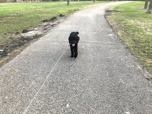 Dog Park «Bassett Creek Dog Park», reviews and photos, 32nd Ave N, Crystal, MN 55422, USA