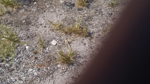 Supermarket «Sunrise Supermarket», reviews and photos, 3035 Thornhill Rd, Winter Haven, FL 33880, USA