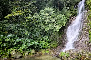 Sakul Trail image
