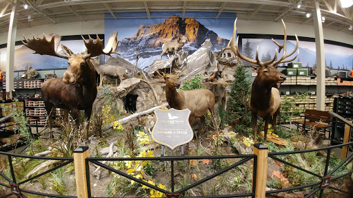 Outdoor Sports Store «Field & Stream», reviews and photos, 1501 Sentinel Dr Ste B, Chesapeake, VA 23320, USA