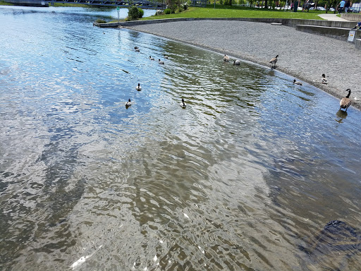 Park «Lake Union Park», reviews and photos, 860 Terry Ave N, Seattle, WA 98109, USA