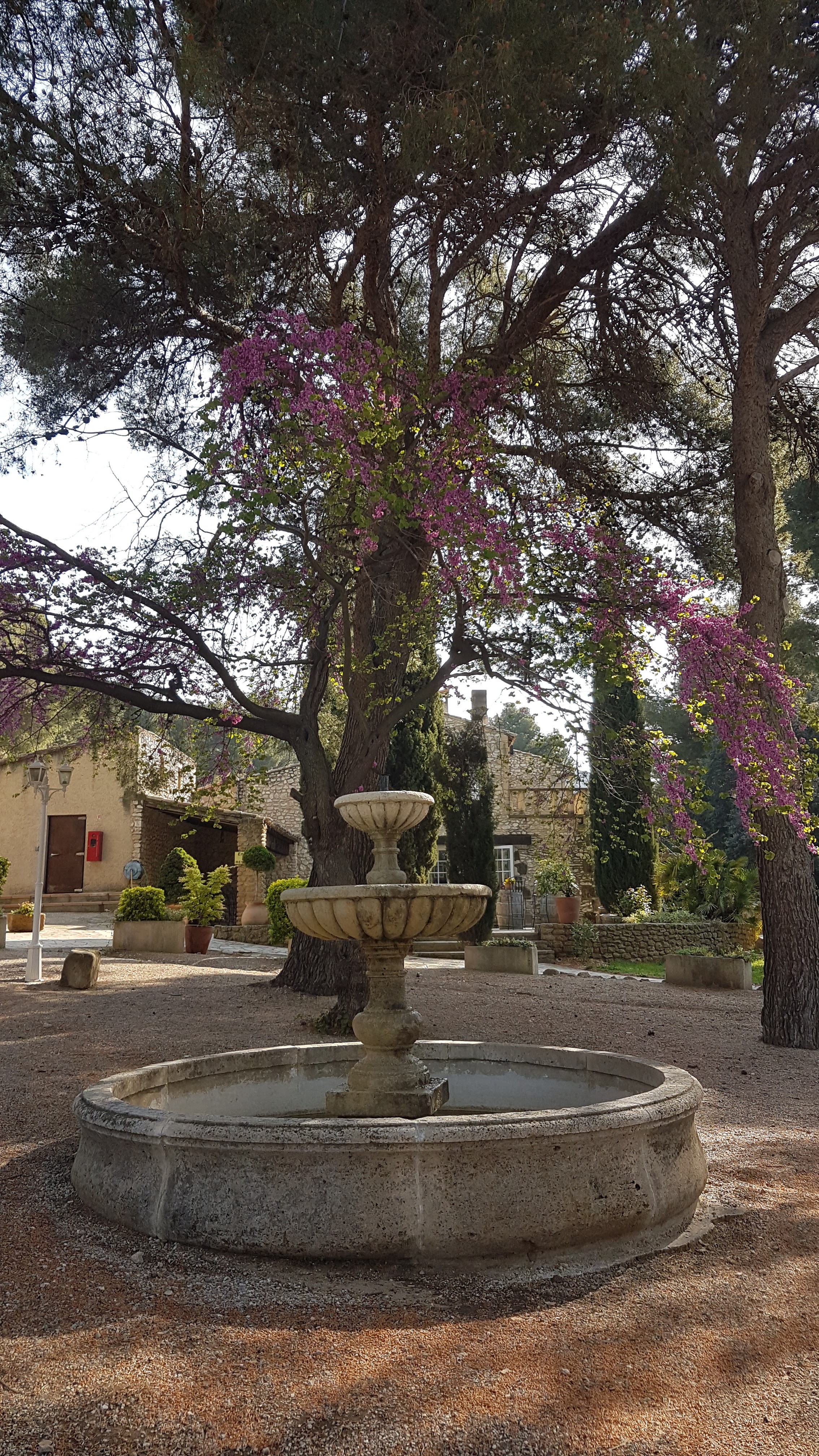 Photo n° 1 de l'avis de sandy.a fait le 22/04/2019 à 08:33
