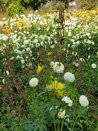 Rezensionen über Fleurs R. Schoor in Val-de-Ruz - Blumengeschäft