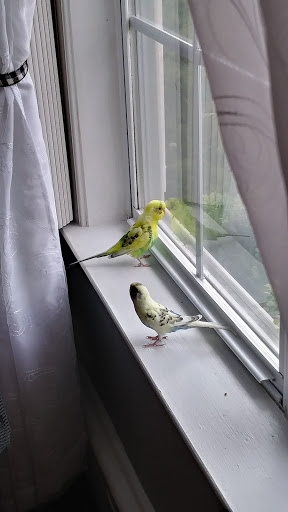 Pet Supply Store «PetSmart», reviews and photos, 2 Brick Plaza, Brick, NJ 08723, USA