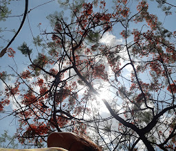 Gran Parque de los Pájaros photo