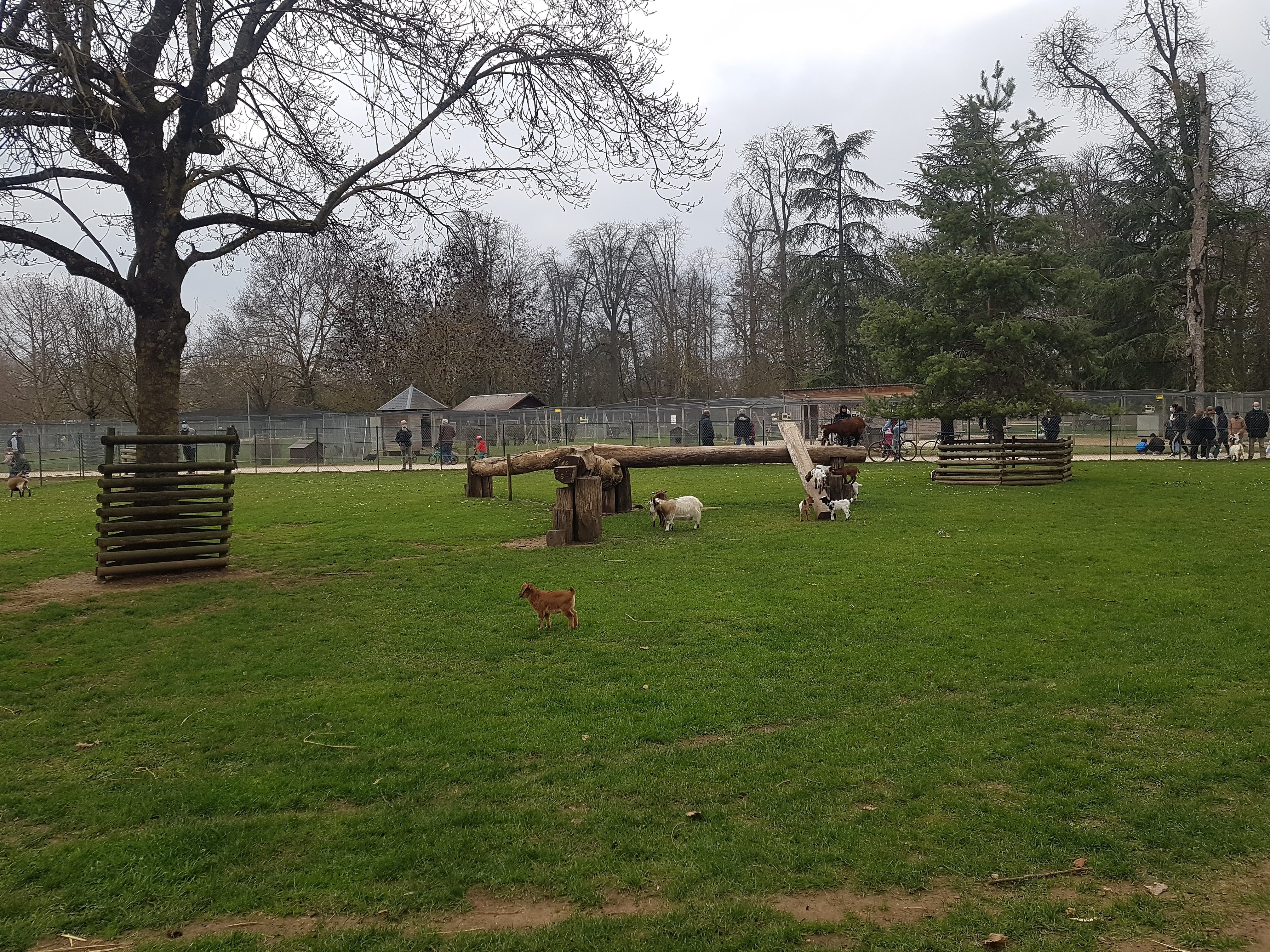 Photo n° 1 de l'avis de Joyce.e fait le 20/04/2021 à 05:48