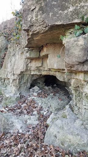 Nature Preserve «Engelmann Woods Natural Area», reviews and photos, 2360 Hwy D, Boles Township, MO 63304, USA