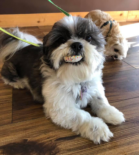 Pet Groomer «Woof Gang Bakery Rockwall», reviews and photos, 832 Steger Towne Rd, Rockwall, TX 75032, USA