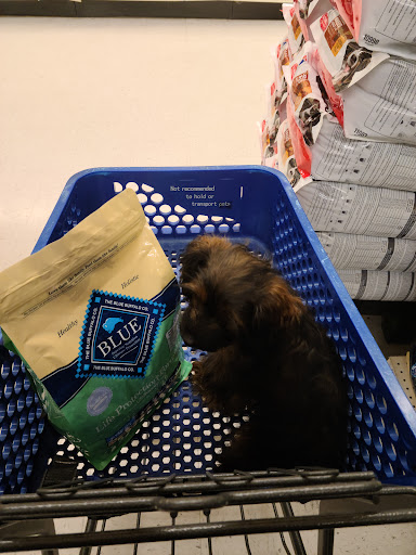 Pet Supply Store «PetSmart», reviews and photos, 7061 Youree Dr, Shreveport, LA 71105, USA