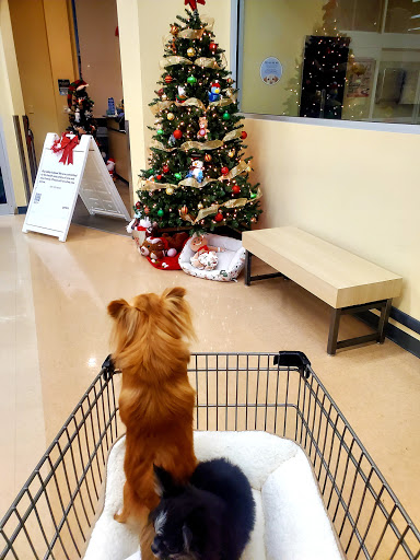 Pet Supply Store «Petco Animal Supplies», reviews and photos, 20825 I-30, Benton, AR 72015, USA