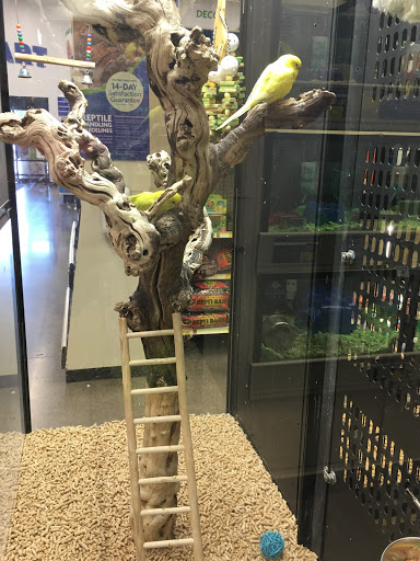 Pet Supply Store «PetSmart», reviews and photos, 13764 W Bell Rd, Surprise, AZ 85374, USA