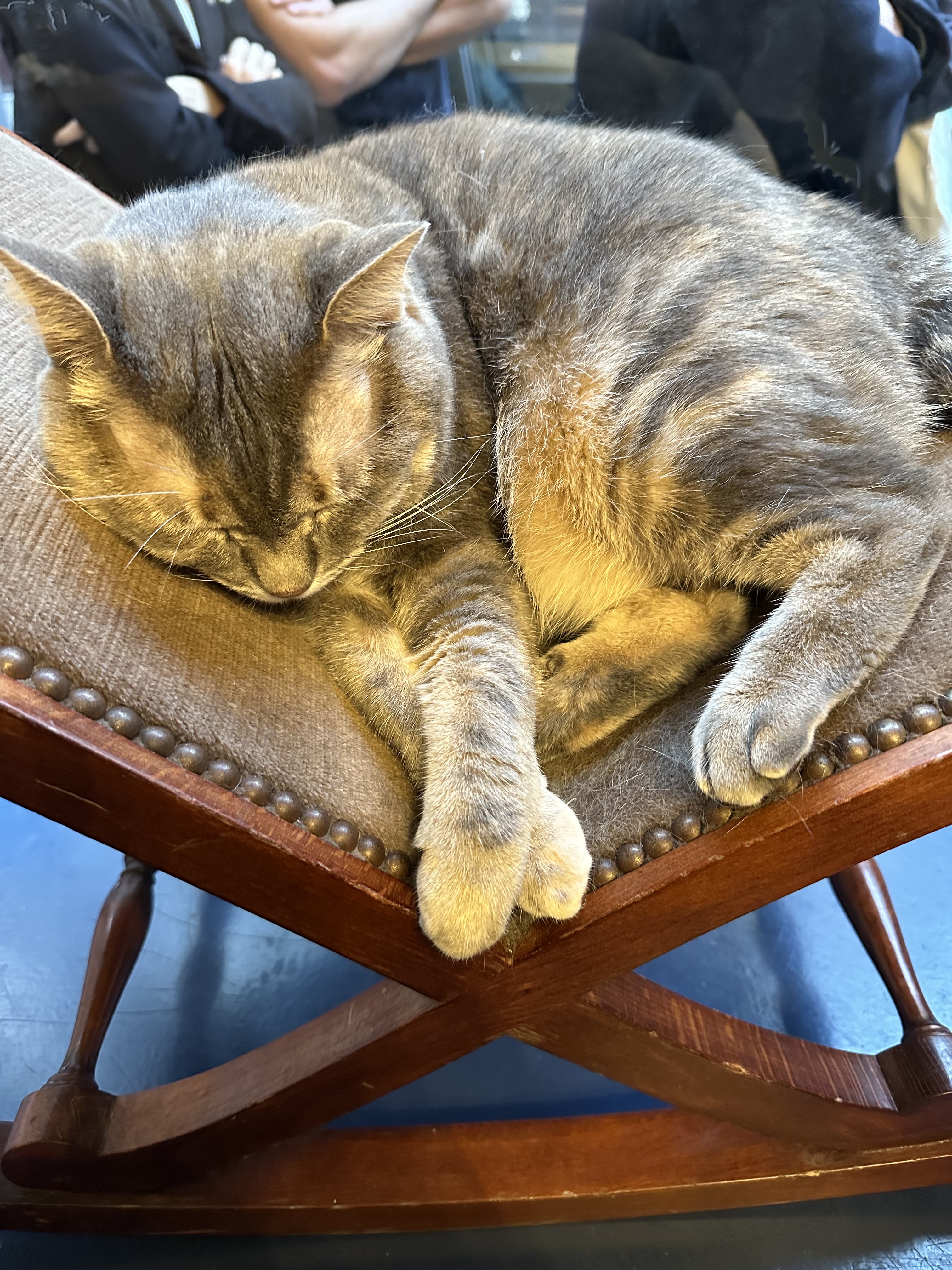 Photo n° 1 de l'avis de Laure.e fait le 30/10/2022 à 20:53
